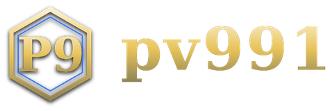 pv991 logo
